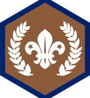 Chief Scout Awards